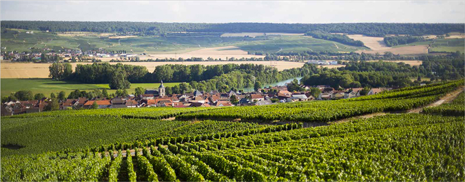 Champagne Alain Suisse Cumières